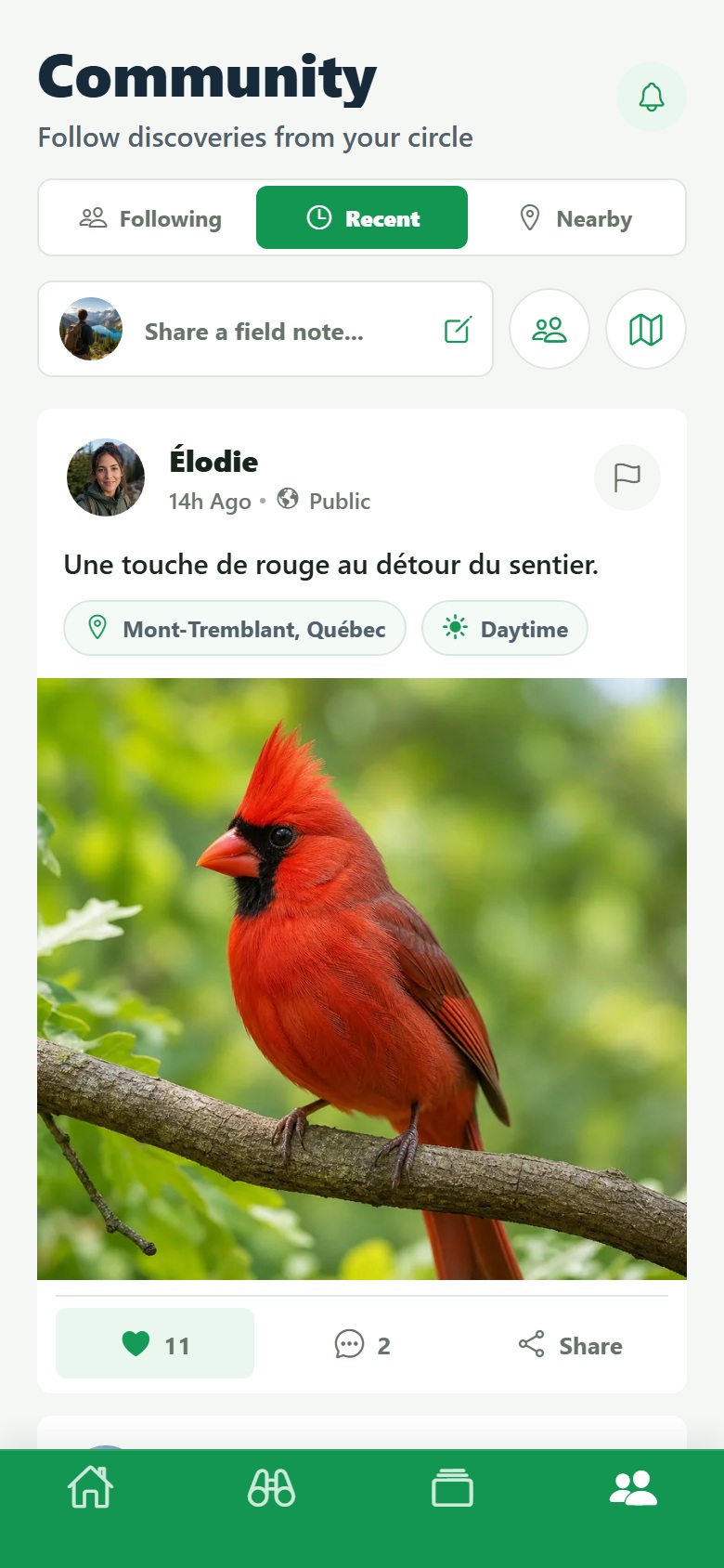 Community page showing a fictional post by Élodie with her avatar and a Northern cardinal photo